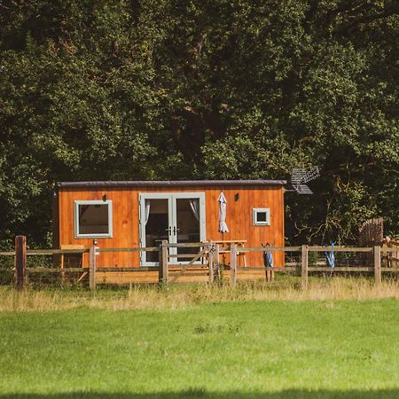Отель The Hideaway At Hiddenwood Glamping Corsley Экстерьер фото